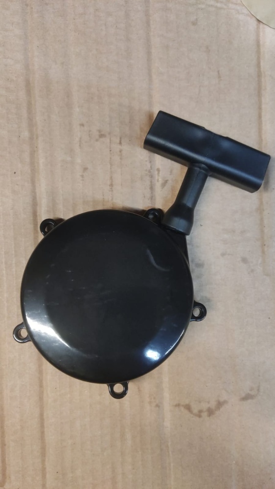 1P63F022 Стартер ручной подходит Dingo 150/200