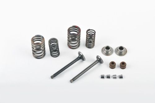 Клапана (впускн/выпускн) 139QMB 50cc L-64мм в сборе полностью