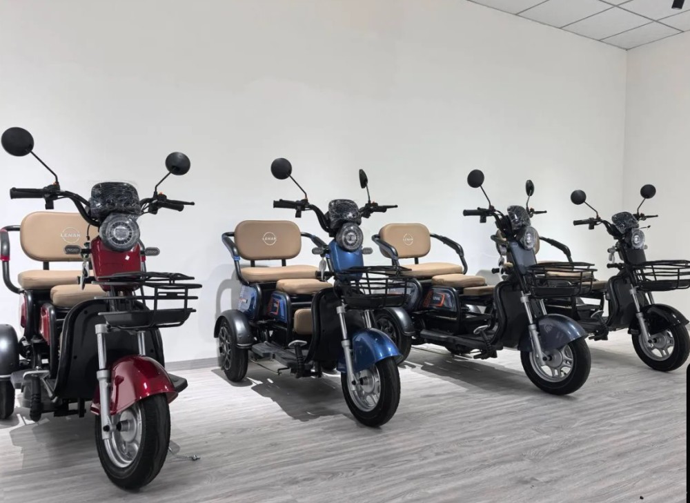 Трицикл электрический Lenak 1200Вт 48/25Ач (максимальная нагрузка 220 кг